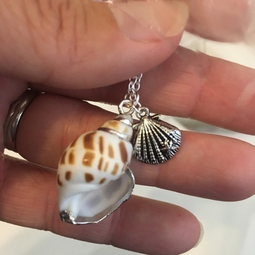 CLAM SHELL AND CONCH SHELL PENDANT NECKLACE - Picture 5 of 9